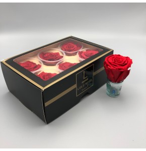 ΤΡΙΑΝΤΑΦΥΛΛΑ "ΑΠΟΧΥΜΩΜΕΝΑ¨" ΚΟΚΚΙΝΑ ROSEN  PRESERVED ROD
